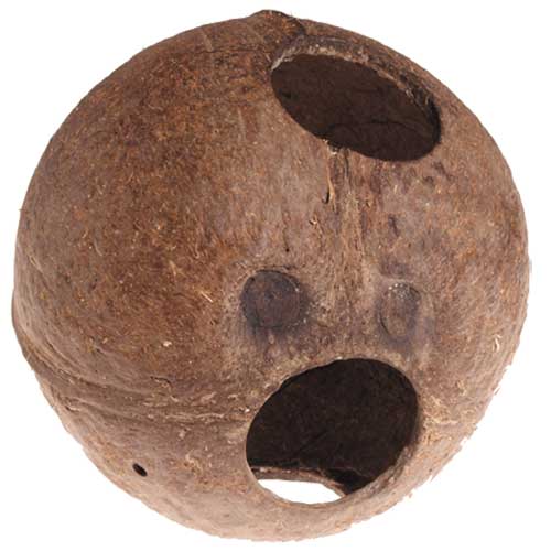 Aqua Cave L ca. 12 x 13 x 13 cm