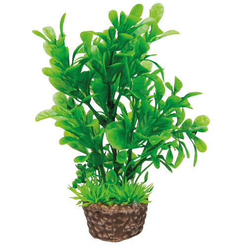 Flora Stone 3 4 x 13 cm