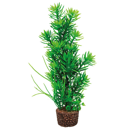 Flora Stone 5 4 x 25 cm