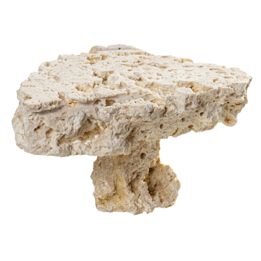 myReef-Rocks Platten, beidseitig geschnitten mit Sockel ca. 10 - 20 cm, per Stück