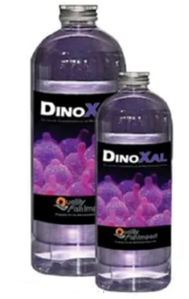 QFI DinoXal 250 ml Algenbekämpfungsmittel
