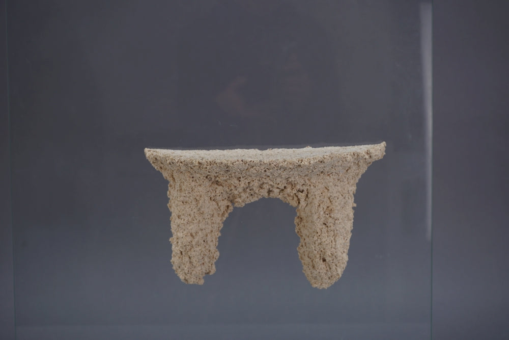 Magnetic-Shelf XL Riffplatte