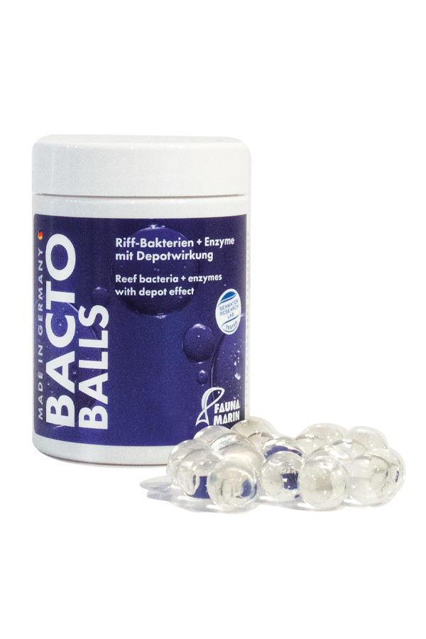 Bacto Reef Balls 100ml Riff Bakterien + Enzyme mit Depotwirkung