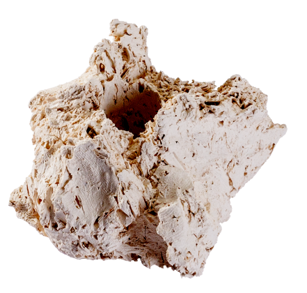 Ablegerstein natur klein 10 Stück