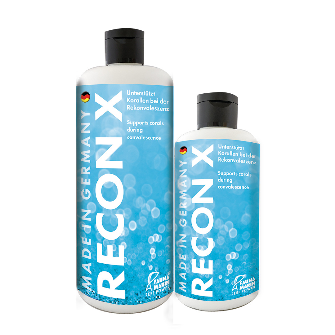 RECON X - Gewebserneuerung - 1000ml