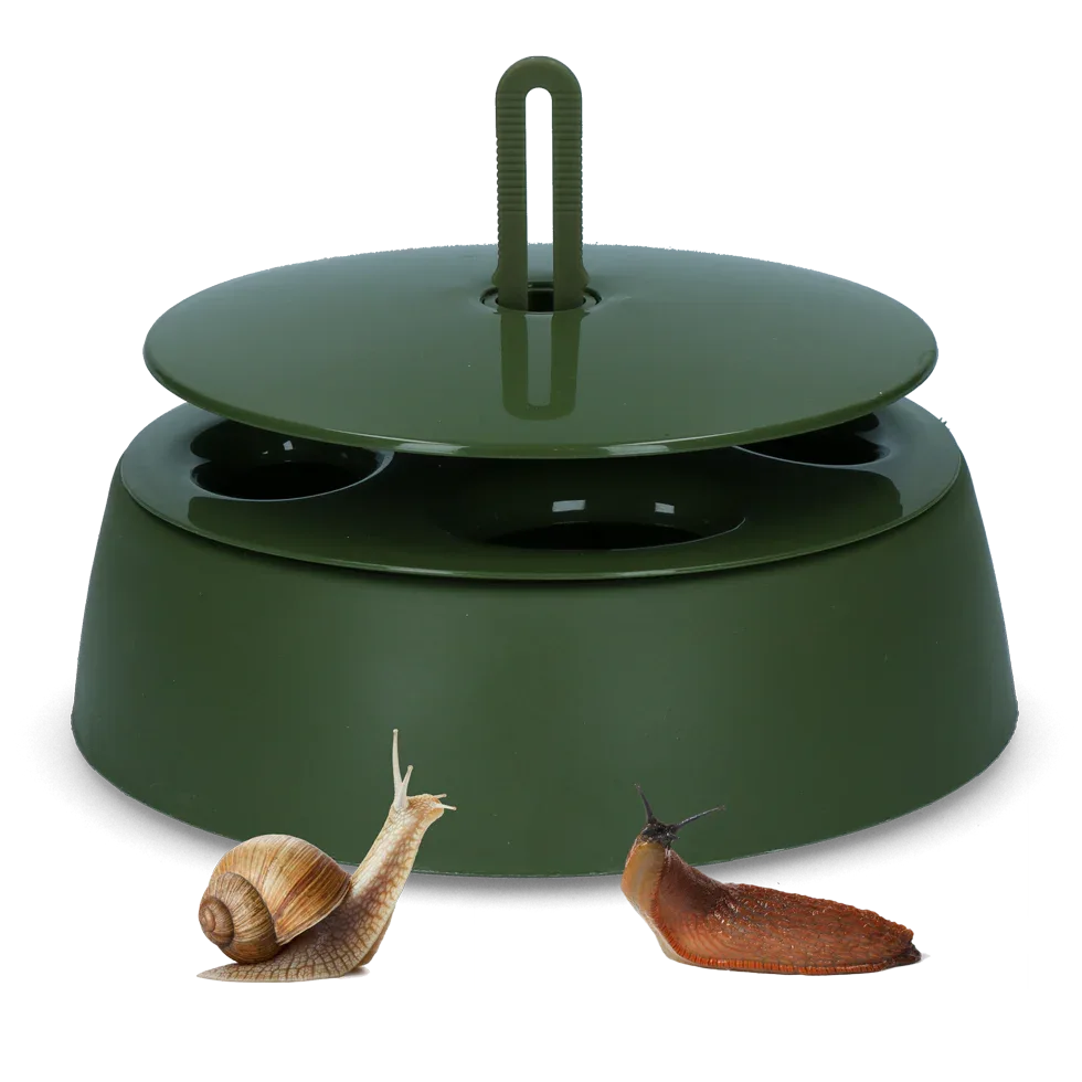 Schneckenfalle - PremiumHobby