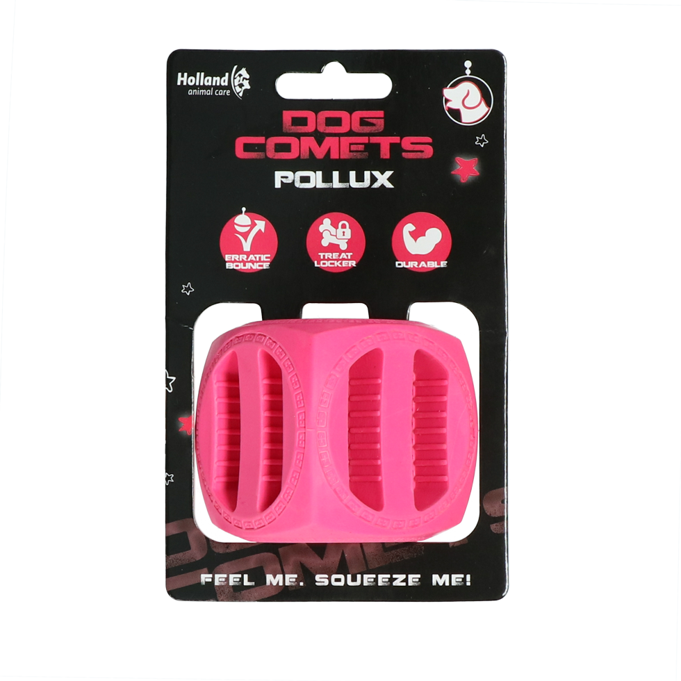 Dog Comets Pollux Rosa