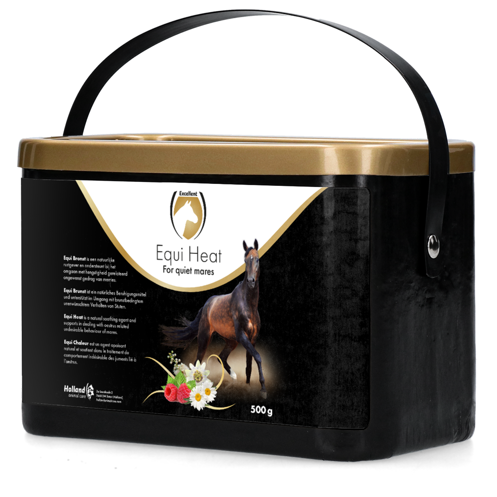 Equi Bronst (Heat)