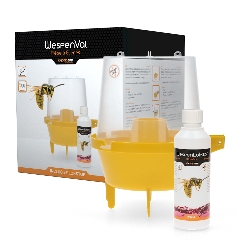 Knock Pest Wespenfalle