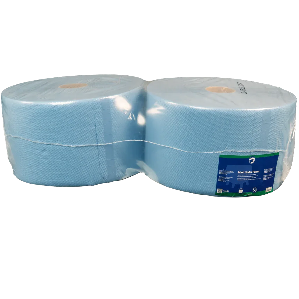 Maxi Euterpapier Large 21,7x36cm blau - PremiumHobby