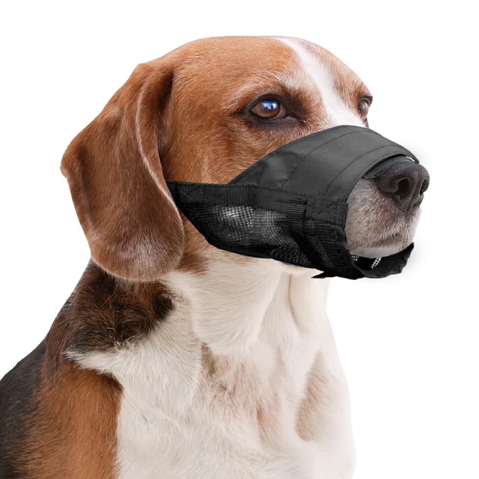 Pawise Muzzle Adjustable XL - PremiumHobby
