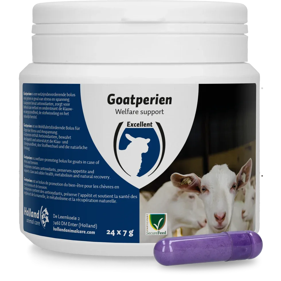 Goatperien Bolus für Ziegen - PremiumHobby
