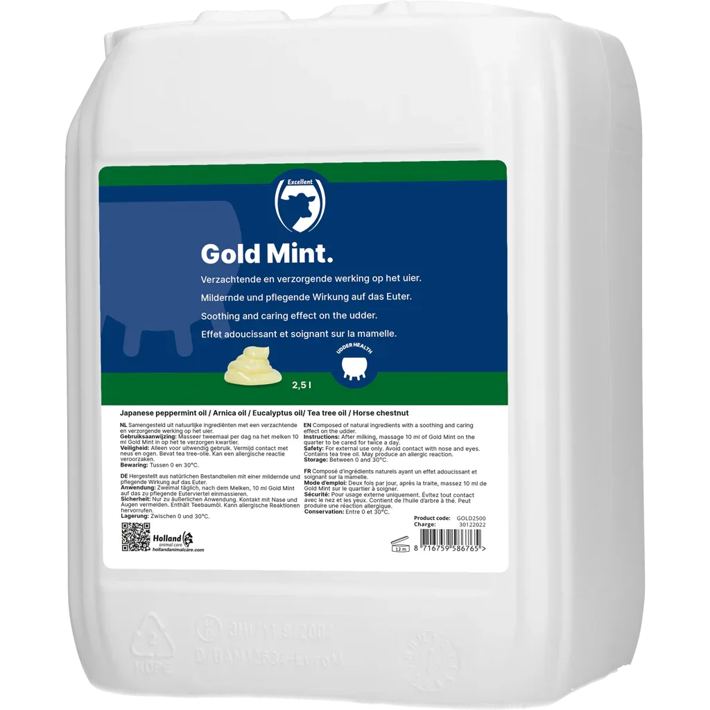 Gold Mint mit Dosierpumpe - PremiumHobby