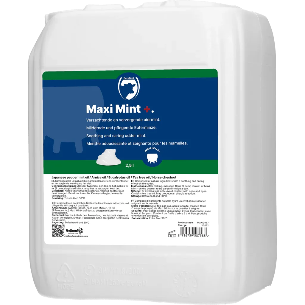 Maxi Mint grootverpakking incl. dosator - PremiumHobby