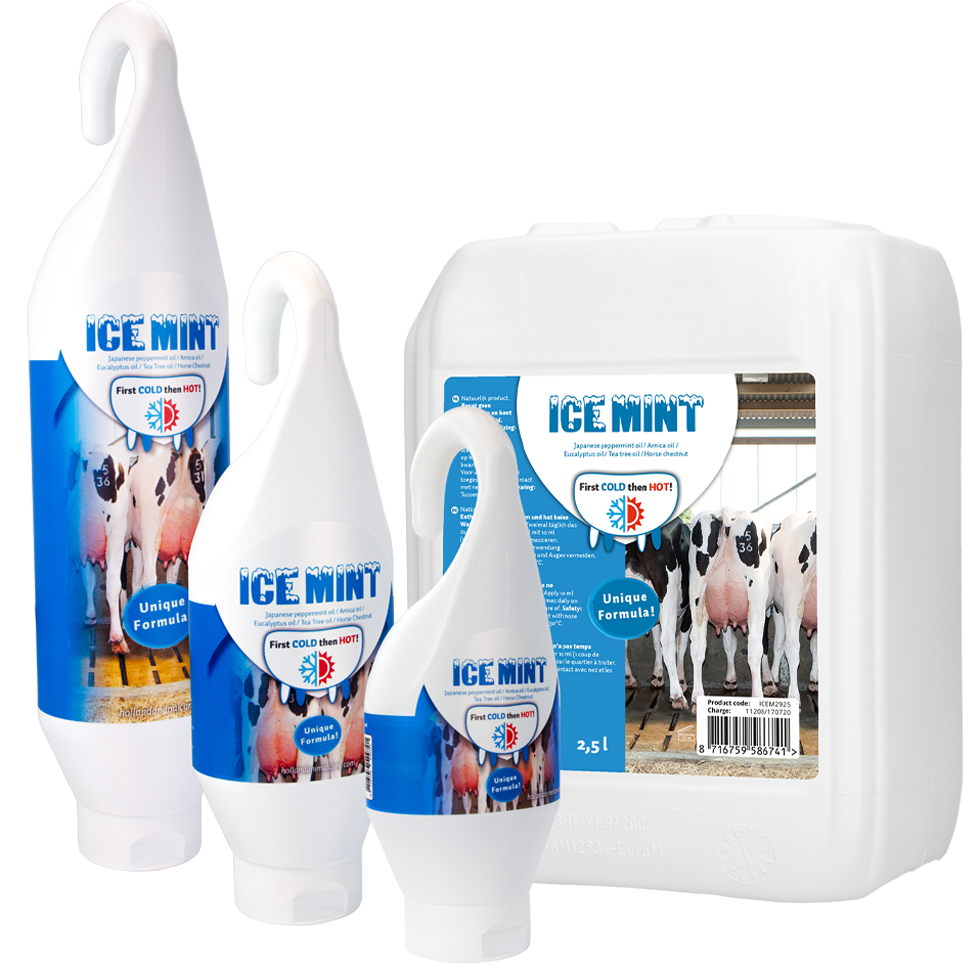 Ice Mint Gel Steh- u. Hängeflasche