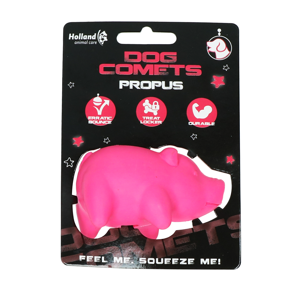 Dog Comets Propus Rosa