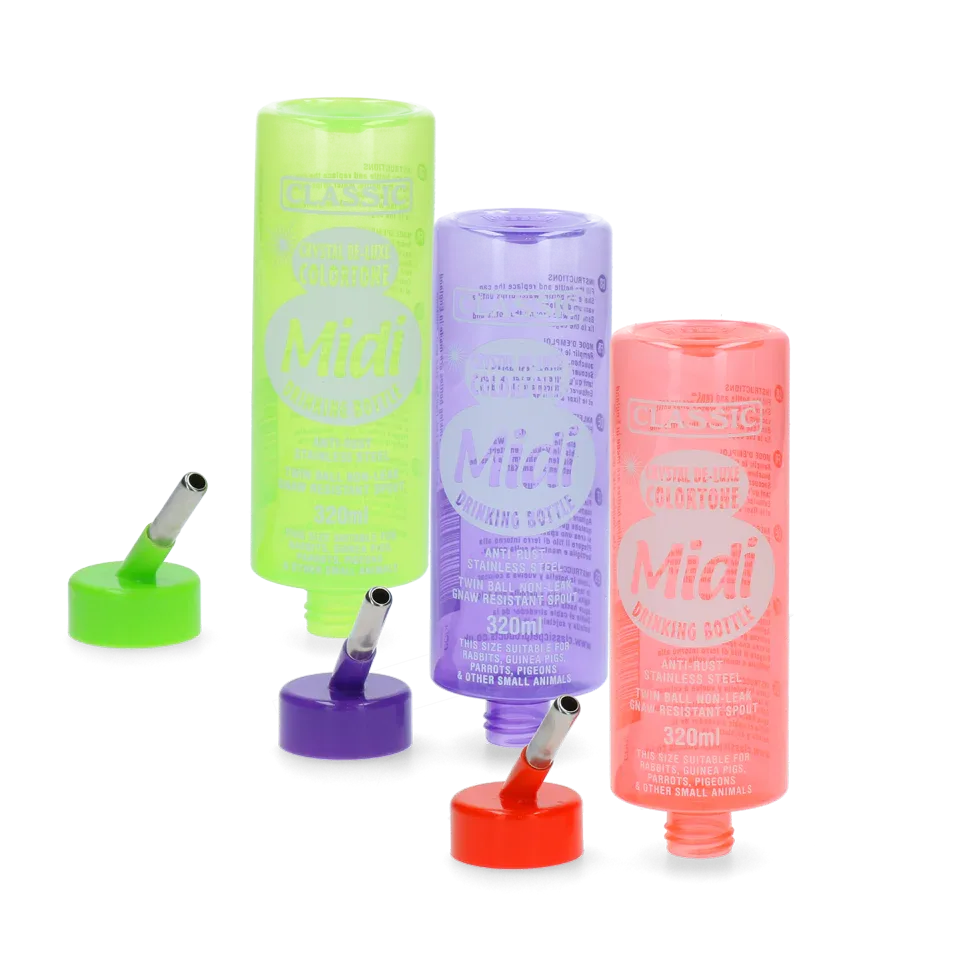 Trinkeflasche Colortone Midi 320 ml - PremiumHobby