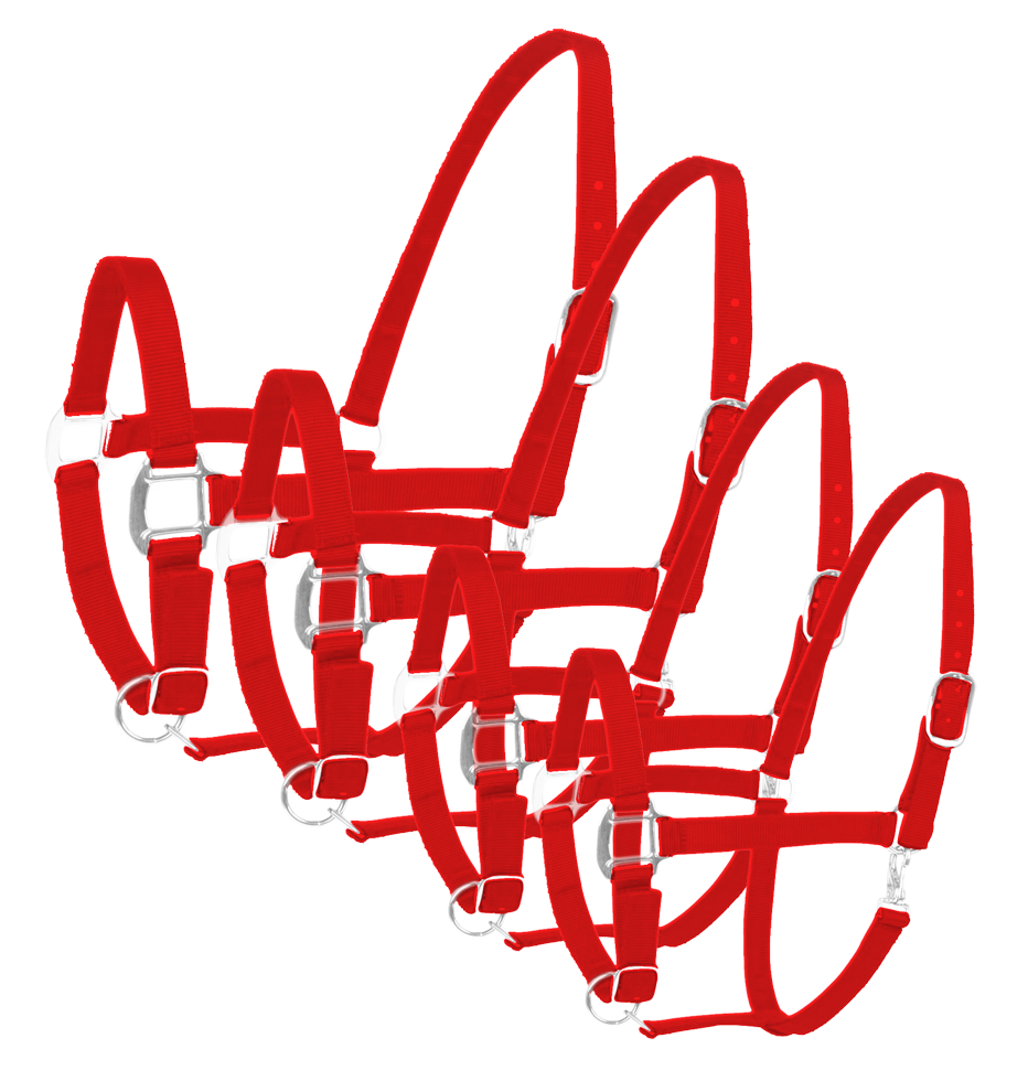 Halfter Excellent rot Pony