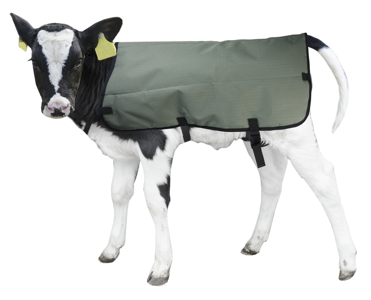 Kälberdecke Calf Coat 80 cm