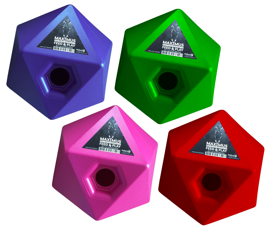 Maximus Feed & Play Rosa