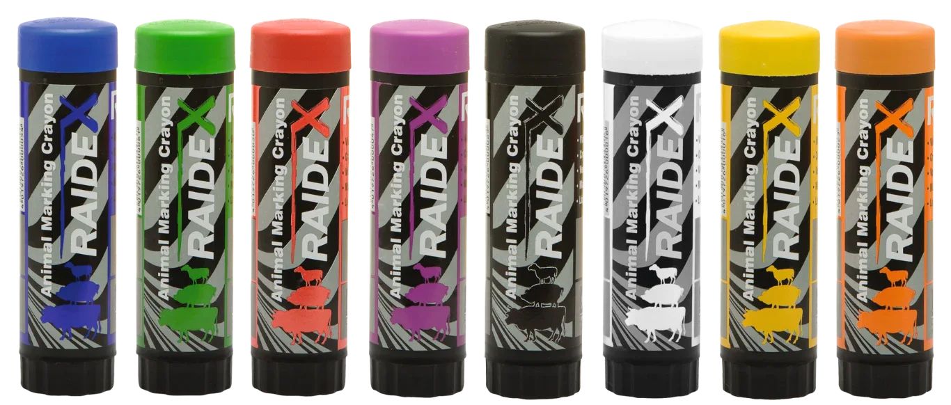 Viehzeichenstifte RAIDL, violett - PremiumHobby