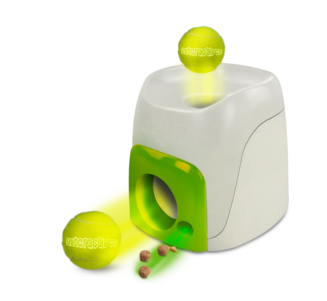 AFP Interactive Fetch'N Treat - PremiumHobby