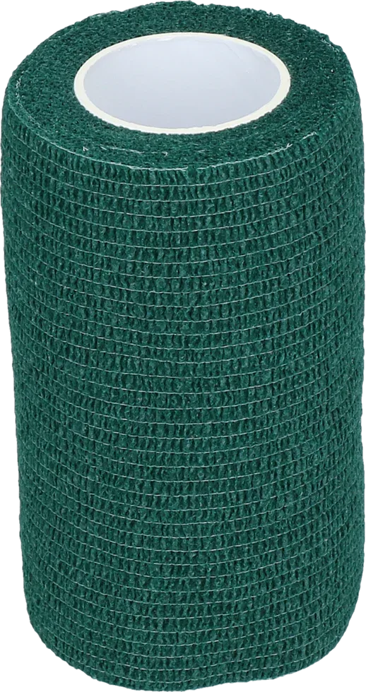 Bandage Animal Grün Profi Plus 10 cm - PremiumHobby