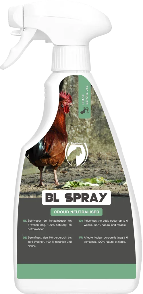 BL Spray - PremiumHobby