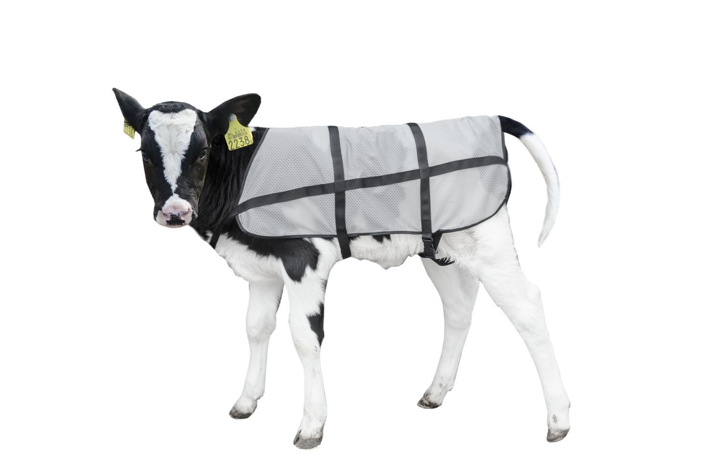 Bodyguard Sommer Kälberdecke