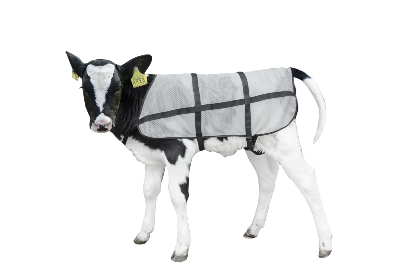 Bodyguard Sommer Kälberdecke - PremiumHobby