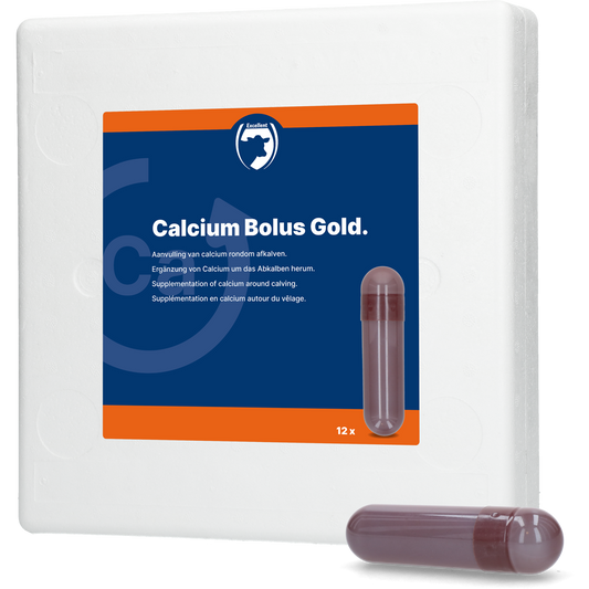 Calcium Bolus Gold