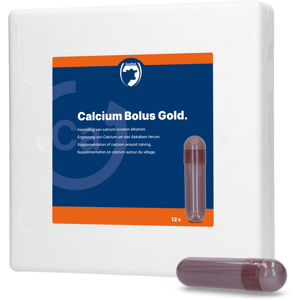 Calcium Bolus Gold