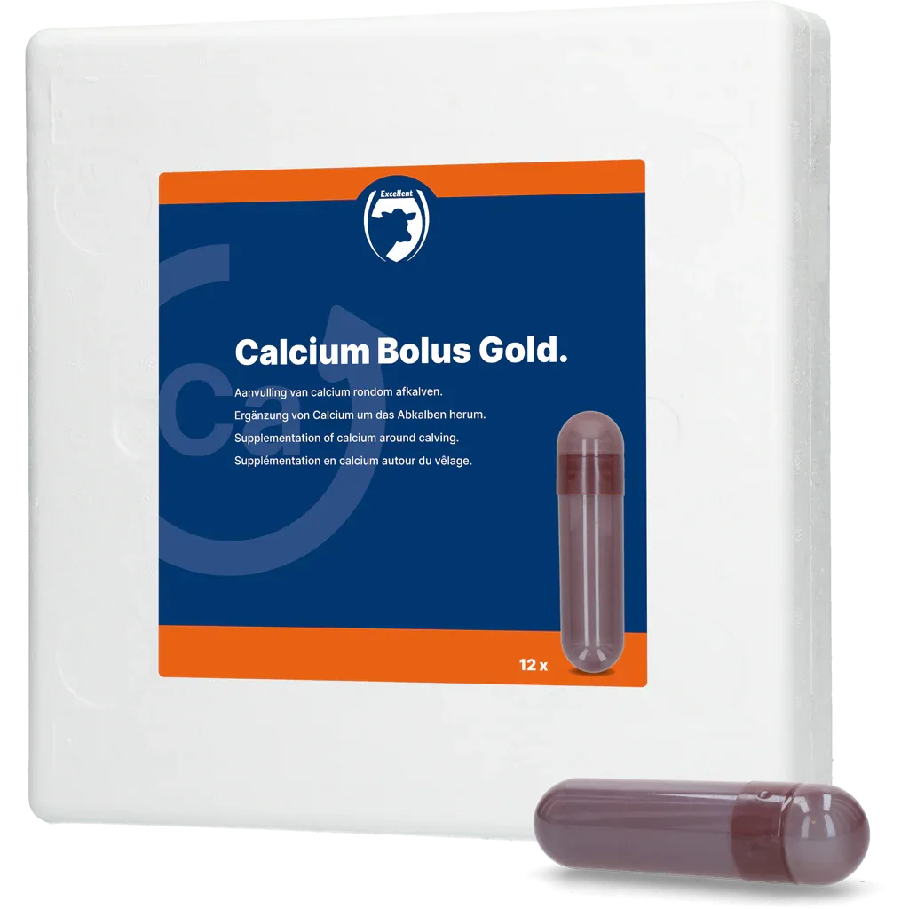 Calcium Bolus Gold - PremiumHobby