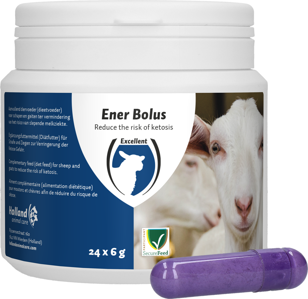 Ener Bolus Schaf & Ziege
