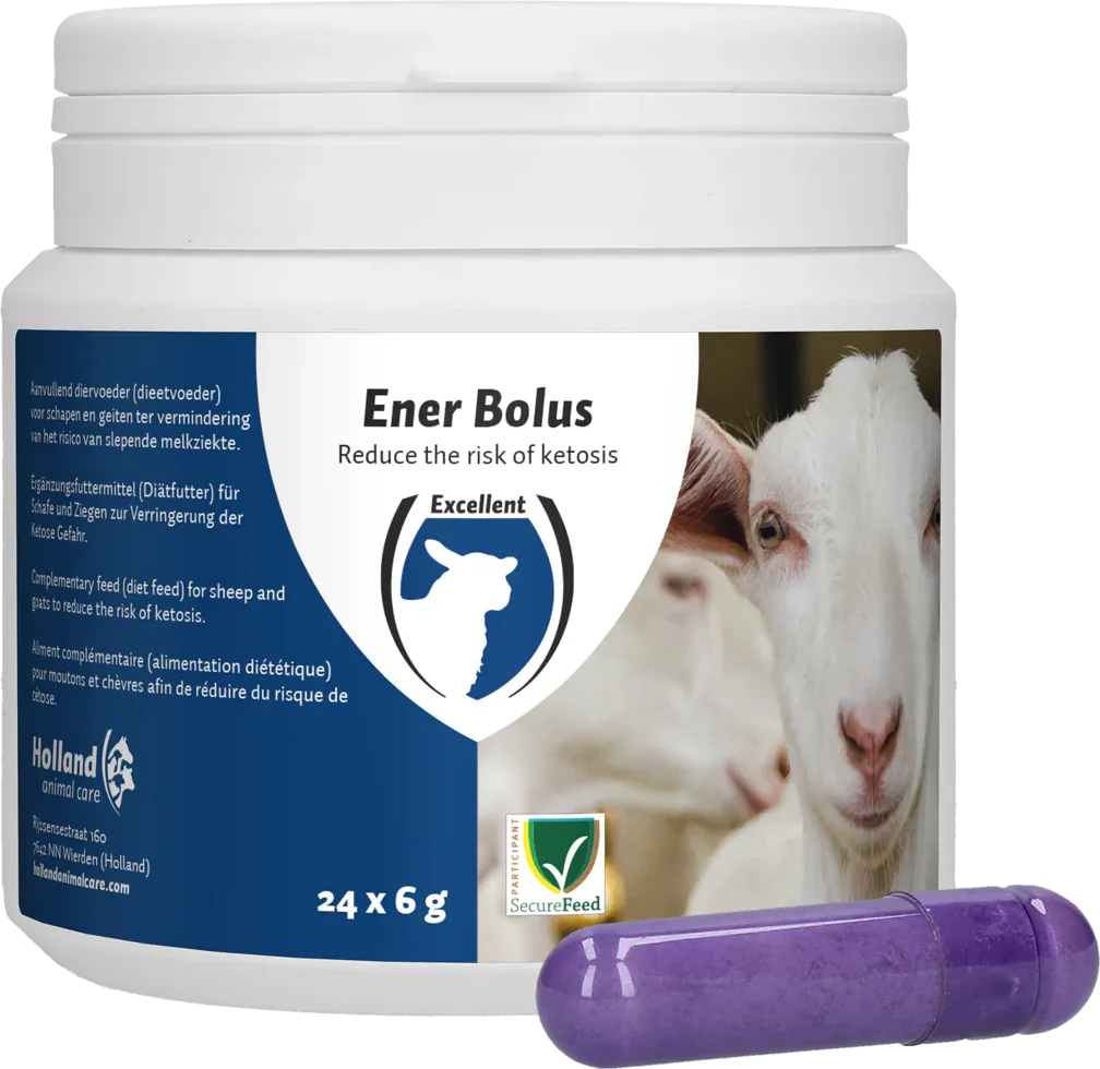 Ener Bolus Schaf & Ziege - PremiumHobby