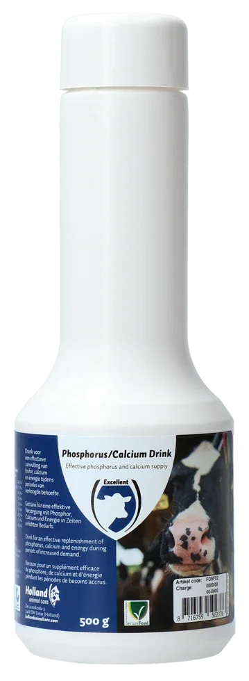 Phosphor/Calcium Getränk - PremiumHobby