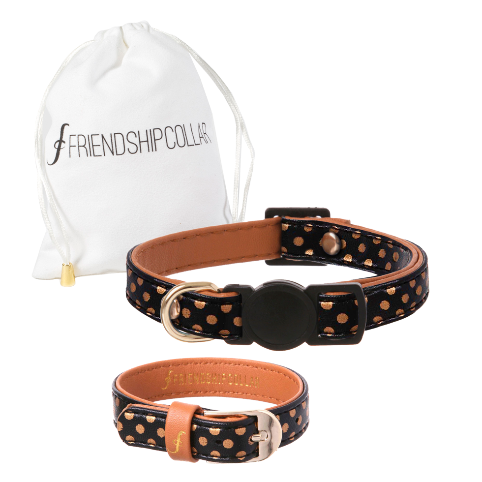 Dotty Moggy Cat & You