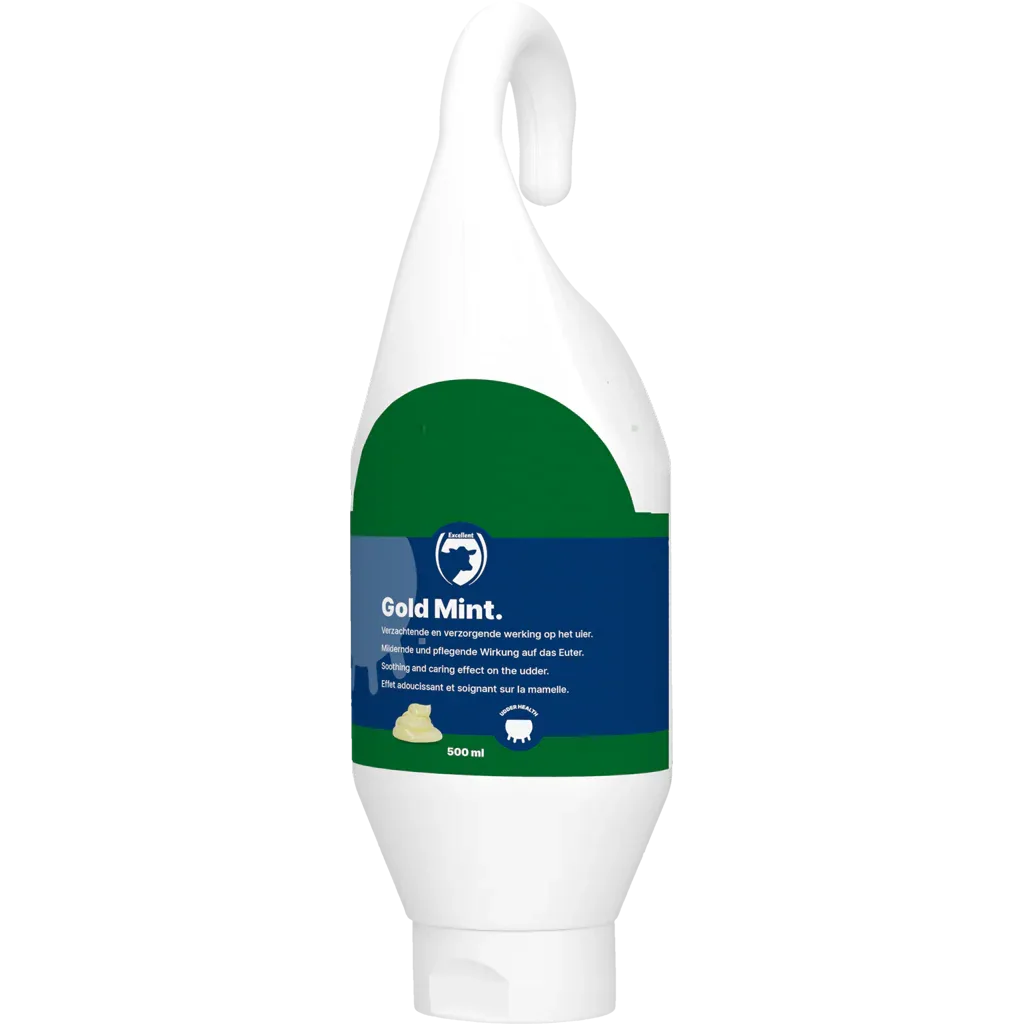 Gold Mint Steh- und Hängeflasche - PremiumHobby