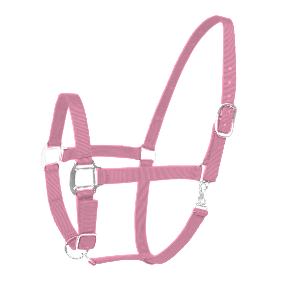 Halfter Excellent Rosa Cob