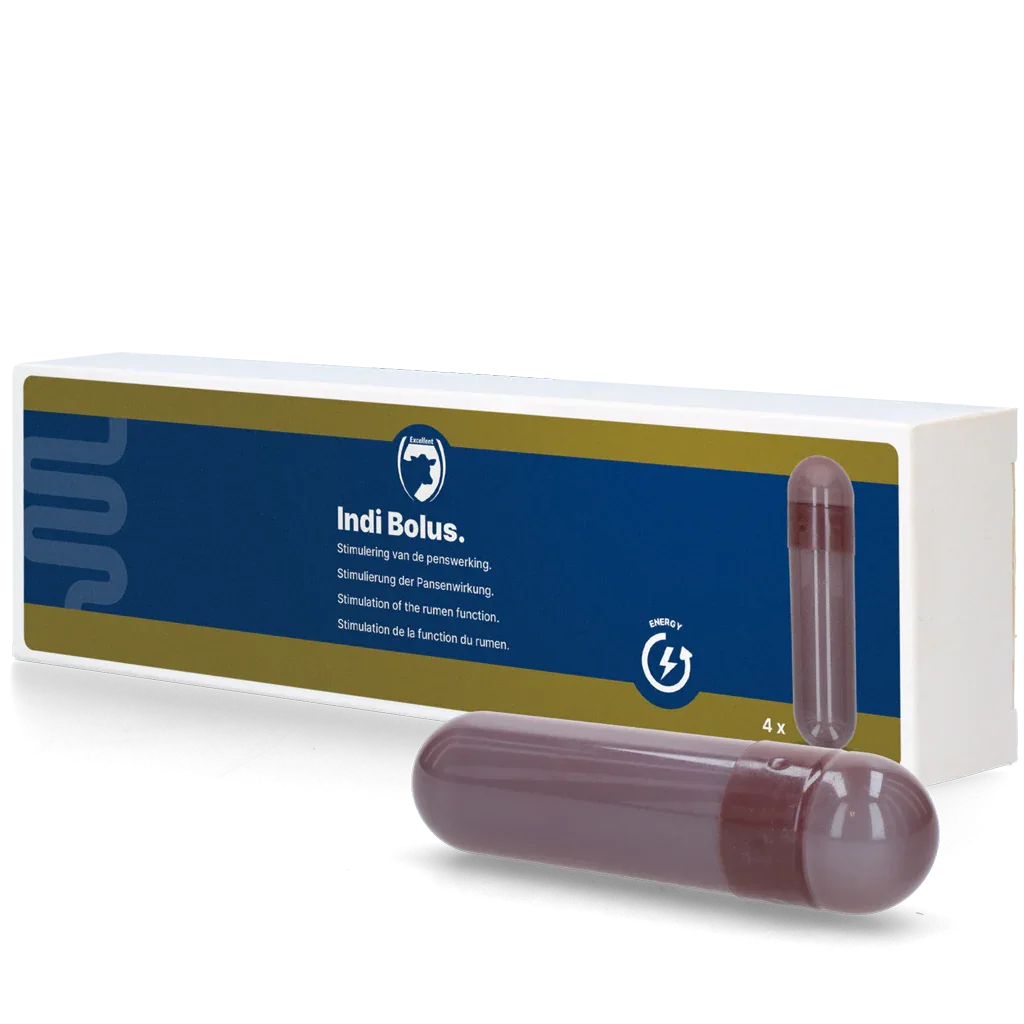 Indi Bolus - PremiumHobby