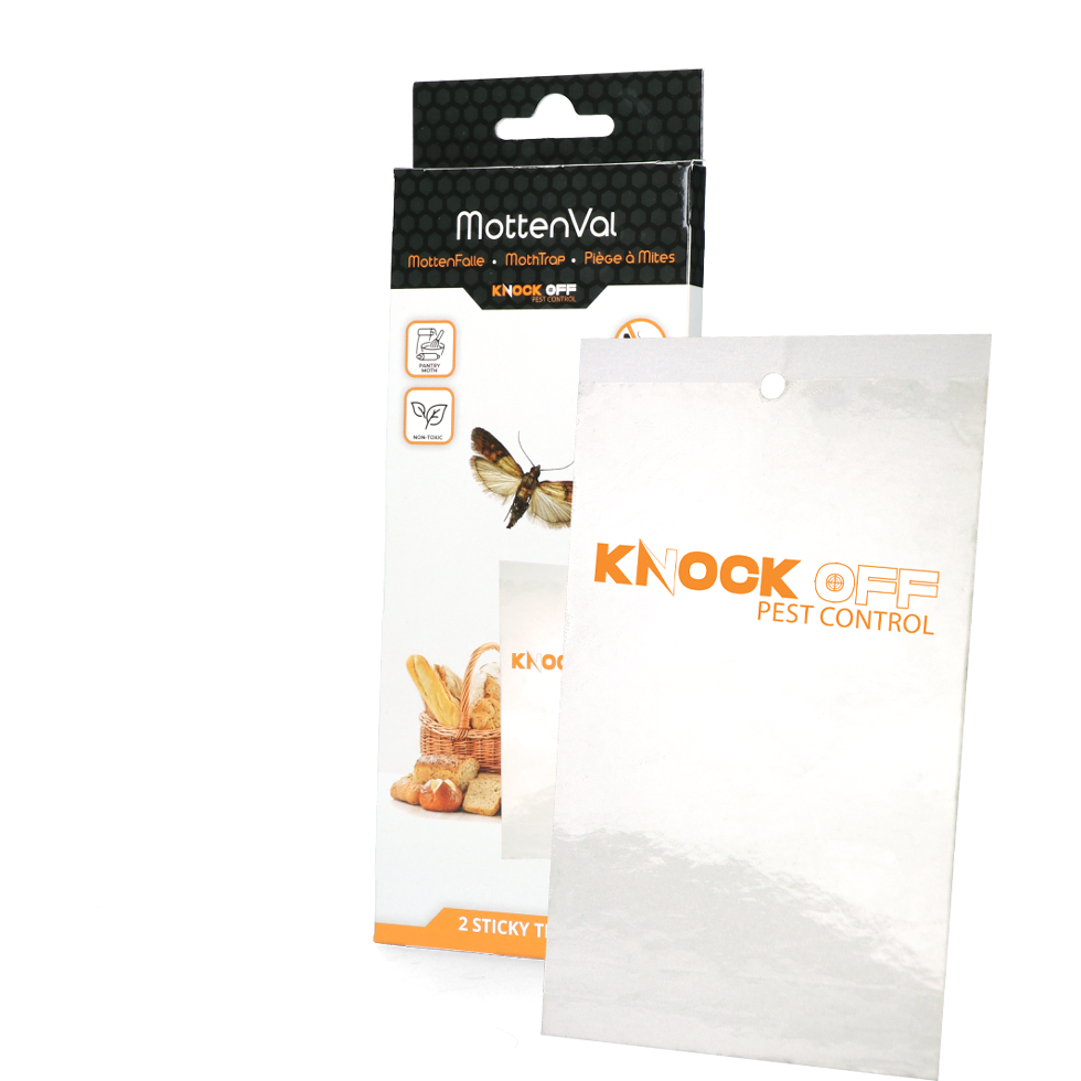 Knock Pest Lebensmittelmottenfalle Flach