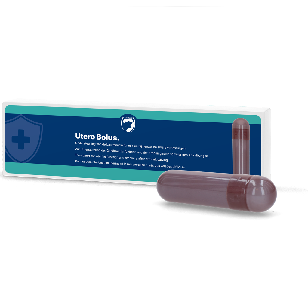 Utero Bolus (Nachgeburt)