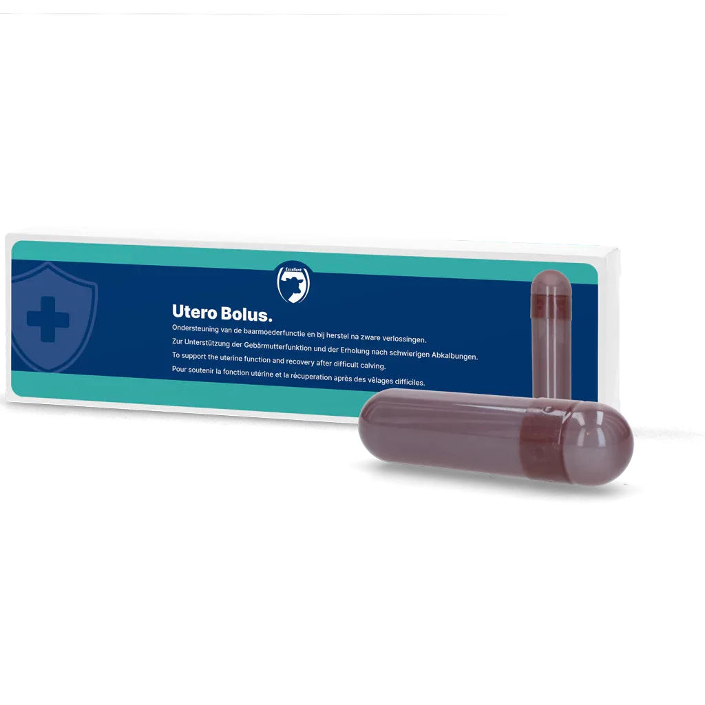 Utero Bolus (Nachgeburt) - PremiumHobby