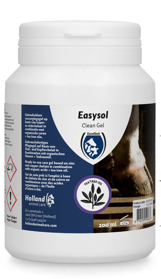 Easysol clean gel