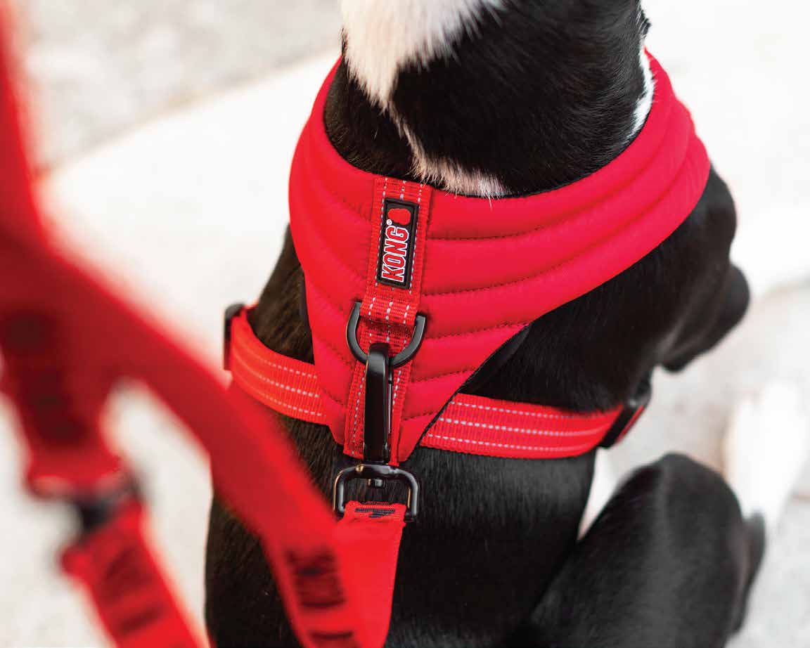 KONG Comfort harness M Red