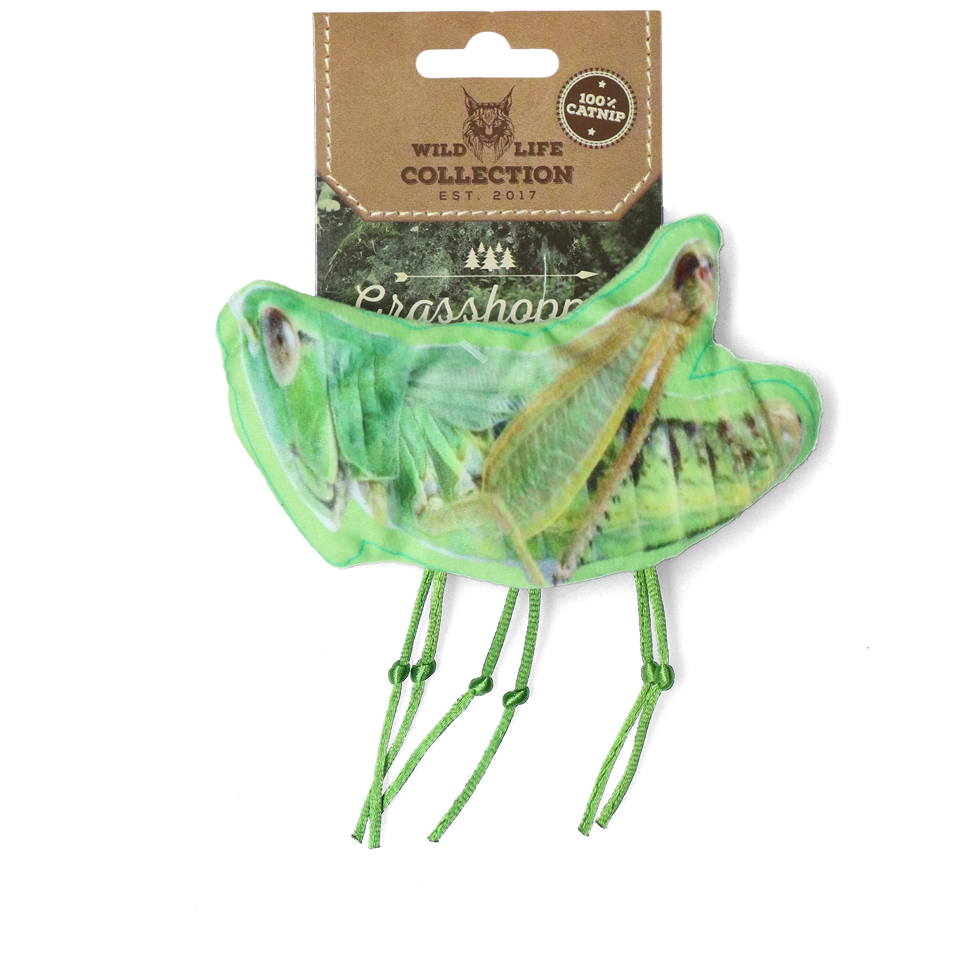 Wild Life Cat Heuschrecke