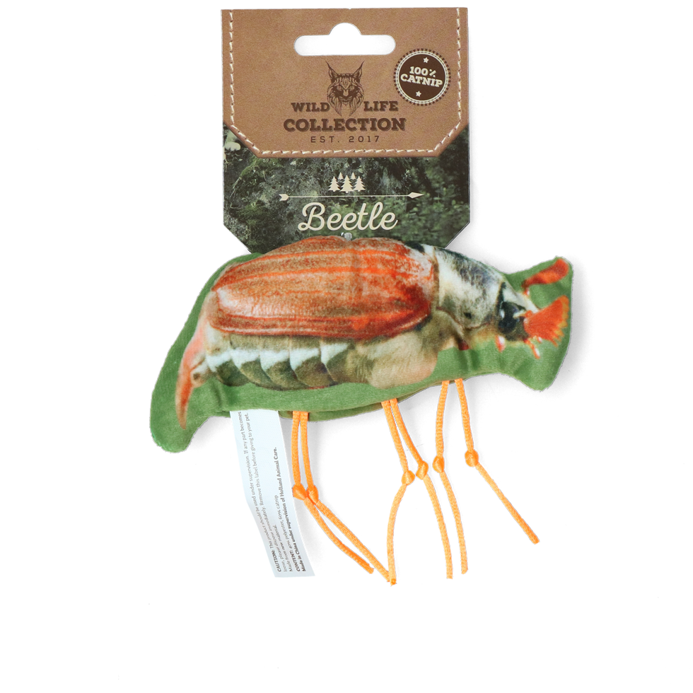 Wild Life Cat Käfer