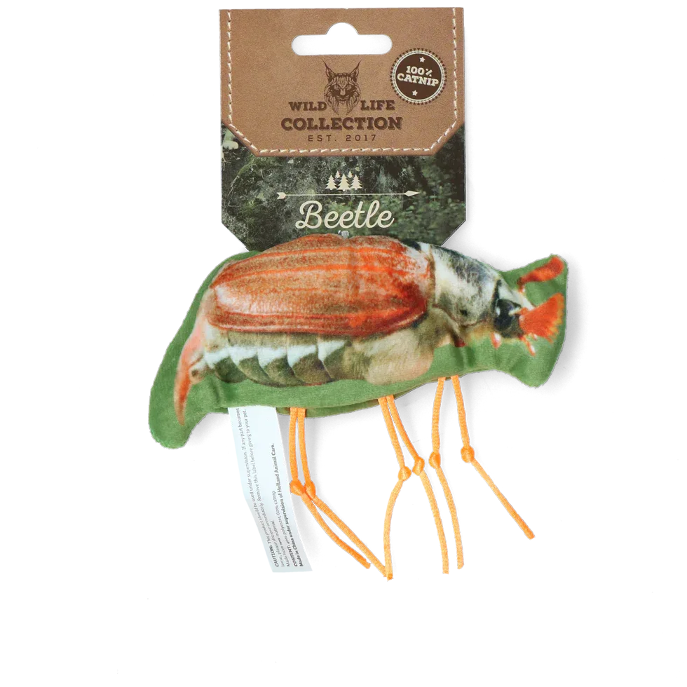 Wild Life Cat Käfer - PremiumHobby