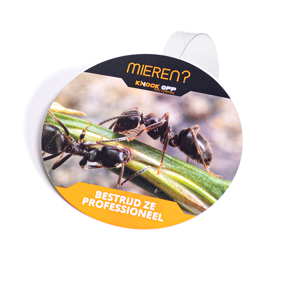 Wobbler Knock Off Mieren