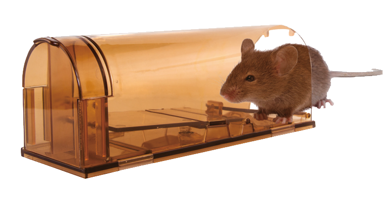 Knock Off Mausefalle Lebend